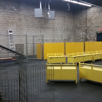 Sit Happens! - Large training bay - Pet Training Near Me - Calgary, Alberta Sit Happens! - Large training bay - Pet Training Near Me - Calgary, Alberta