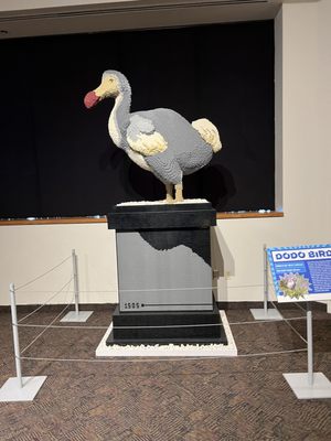 RMSC (Rochester Museum & Science Center) by null