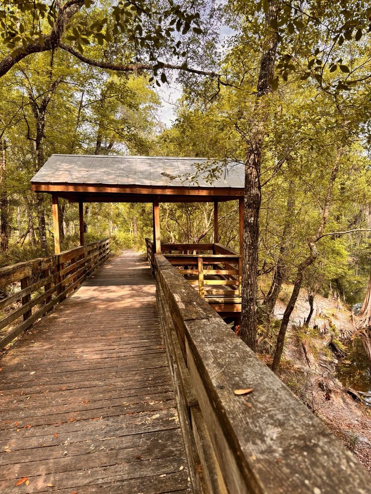 O'Leno State Park Image