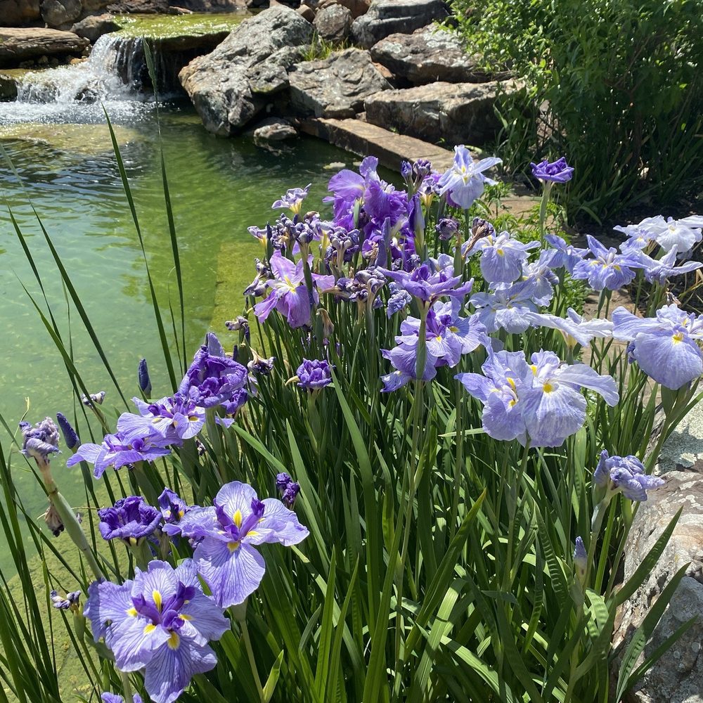 Tulsa Botanic Garden - Botanical Gardens Near Me - Tulsa, Oklahoma
