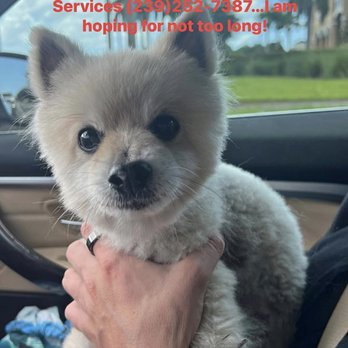 1. Sherry's Pet Grooming
