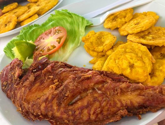 El Fogon Latino Restaurant by null