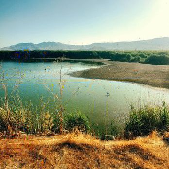 Bear River Migratory Bird Refuge - Parks Near Me - Brigham City, Utah