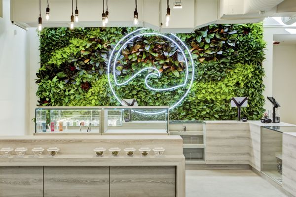 Coastal Dispensary Santa Barbara by null