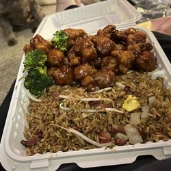 Good Fortune Restaurant - General Gay's chicken