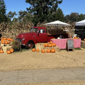 Goff Family Pumpkin Patch - Pumpkin Patches Near Me - San Diego, California Goff Family Pumpkin Patch - Pumpkin Patches Near Me - San Diego, California