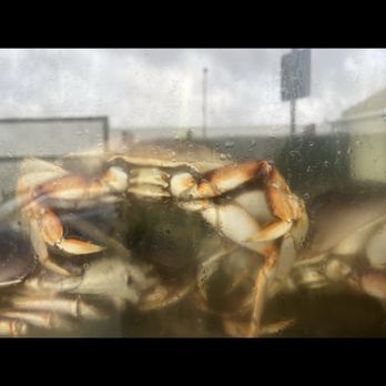 Seafood Center - I seen this going on a restaurant crawl in SF on a March photo dump on my social media feed - Seafood Markets Near Me - San Francisco, California
