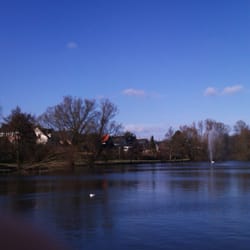 Degnemosen