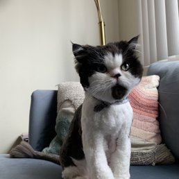 He's ready for the runway! He's ready for the runway!