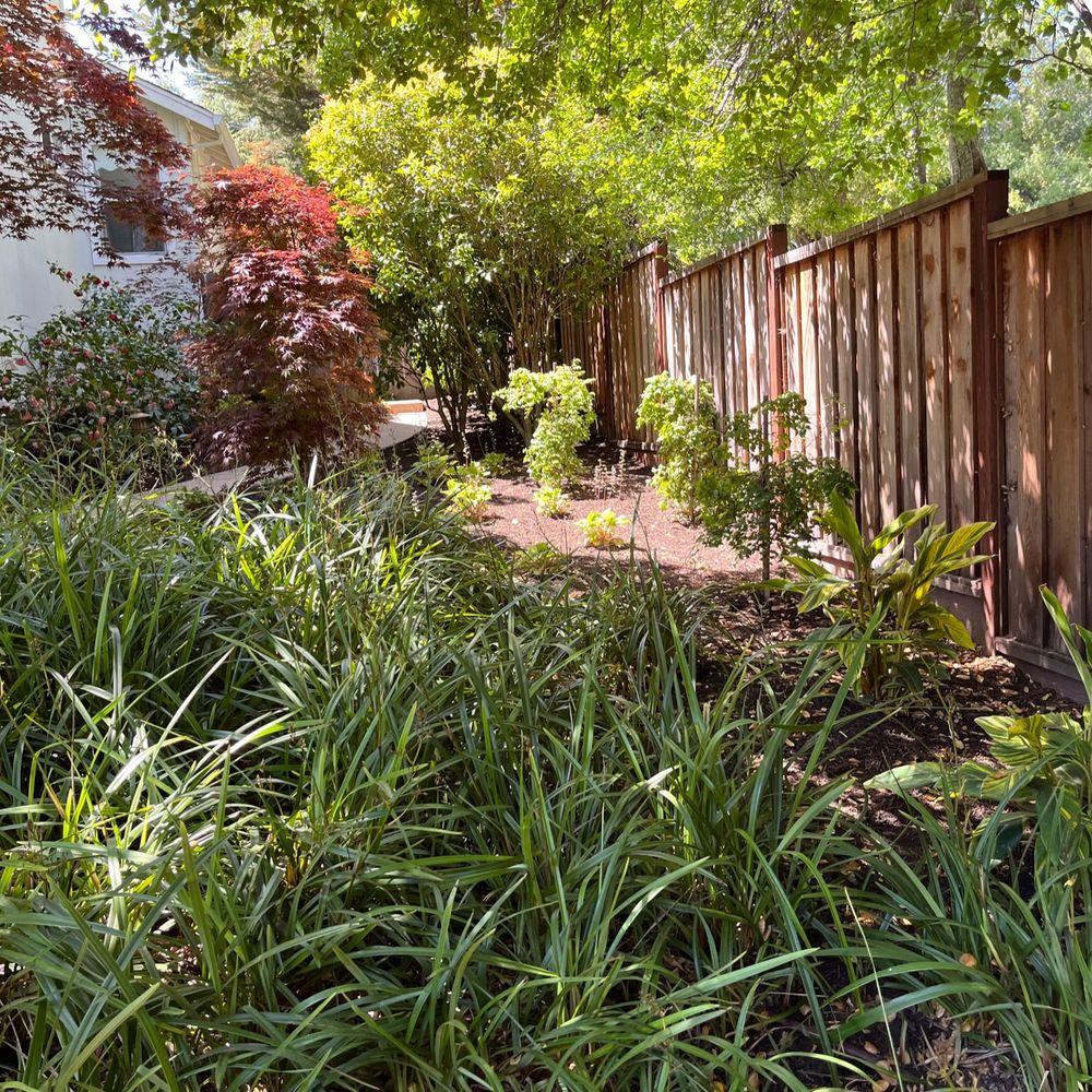 Geared for Growing - a garden with a wooden fence - Landscaping Near Me - Healdsburg, California Geared for Growing - a garden with a wooden fence - Landscaping Near Me - Healdsburg, California