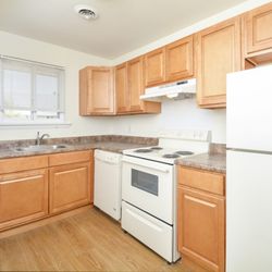 Cedar Tree Apartments