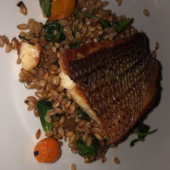 Ysabel - Fish of the day with farro (slightly undercooked), fish was good - New American Near Me - West Hollywood, California Ysabel - Fish of the day with farro (slightly undercooked), fish was good - New American Near Me - West Hollywood, California