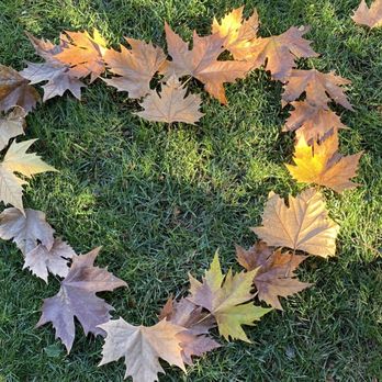 Bob Peralta Properties - I love Fall - Real Estate Agents Near Me - Stockton, California Bob Peralta Properties - I love Fall - Real Estate Agents Near Me - Stockton, California