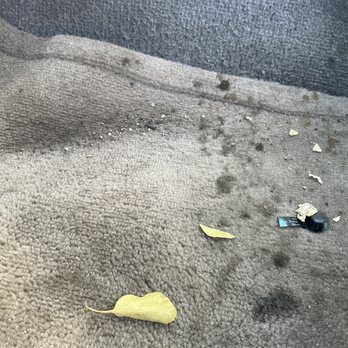 Jiffy Lube - Drivers side flor of my car after they lied and said I declined vacuuming. - Auto Repair Near Me - Santa Cruz, California Jiffy Lube - Drivers side flor of my car after they lied and said I declined vacuuming. - Auto Repair Near Me - Santa Cruz, California