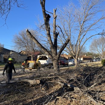 Quality Tree Service - Tree removal - Tree Services Near Me - Denton, Texas Quality Tree Service - Tree removal - Tree Services Near Me - Denton, Texas