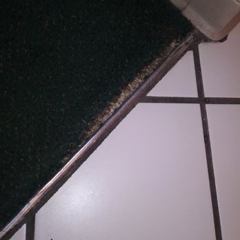 Days Inn by Wyndham Delta - The carpet in our room. - Hotels Near Me - Delta, Colorado