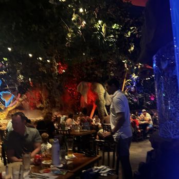 Rainforest Cafe - vibe - American Near Me - Lake Buena Vista, Florida
