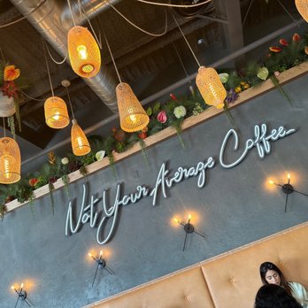 Wild - Coffee & Tea Near Me - Houston, Texas Wild - Coffee & Tea Near Me - Houston, Texas