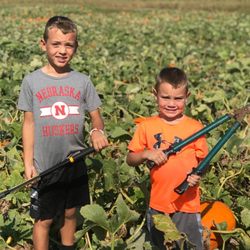 The ScareCrow Patch
