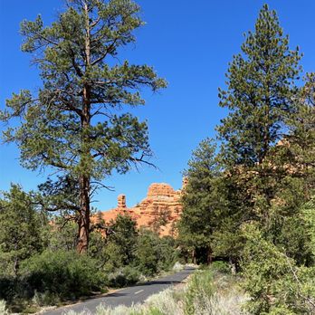 National Park Express - Virgin River Gorge - July 1, 2023. - Tours Near Me - Las Vegas, Nevada National Park Express - Virgin River Gorge - July 1, 2023. - Tours Near Me - Las Vegas, Nevada