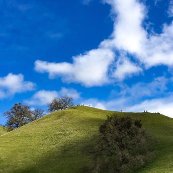 Sunol Regional Wilderness Area - Beautiful scenery - Parks Near Me - Sunol, California Sunol Regional Wilderness Area - Beautiful scenery - Parks Near Me - Sunol, California