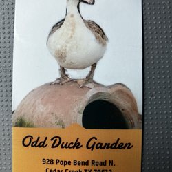 Odd Duck Garden - Business card front