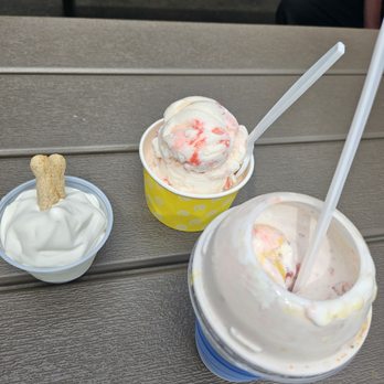 Williams Farm Stand - Doggy sundae, cherry vanilla scoop, miami vice flurry - Fruits & Veggies Near Me - Cicero, New York Williams Farm Stand - Doggy sundae, cherry vanilla scoop, miami vice flurry - Fruits & Veggies Near Me - Cicero, New York