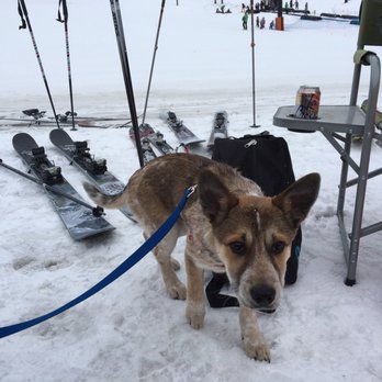 Arapahoe Basin Ski Area - Dog friendly! - Ski Resorts Near Me - Dillon, Colorado