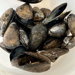New Glasgow Lobster Suppers - Great blue mussels