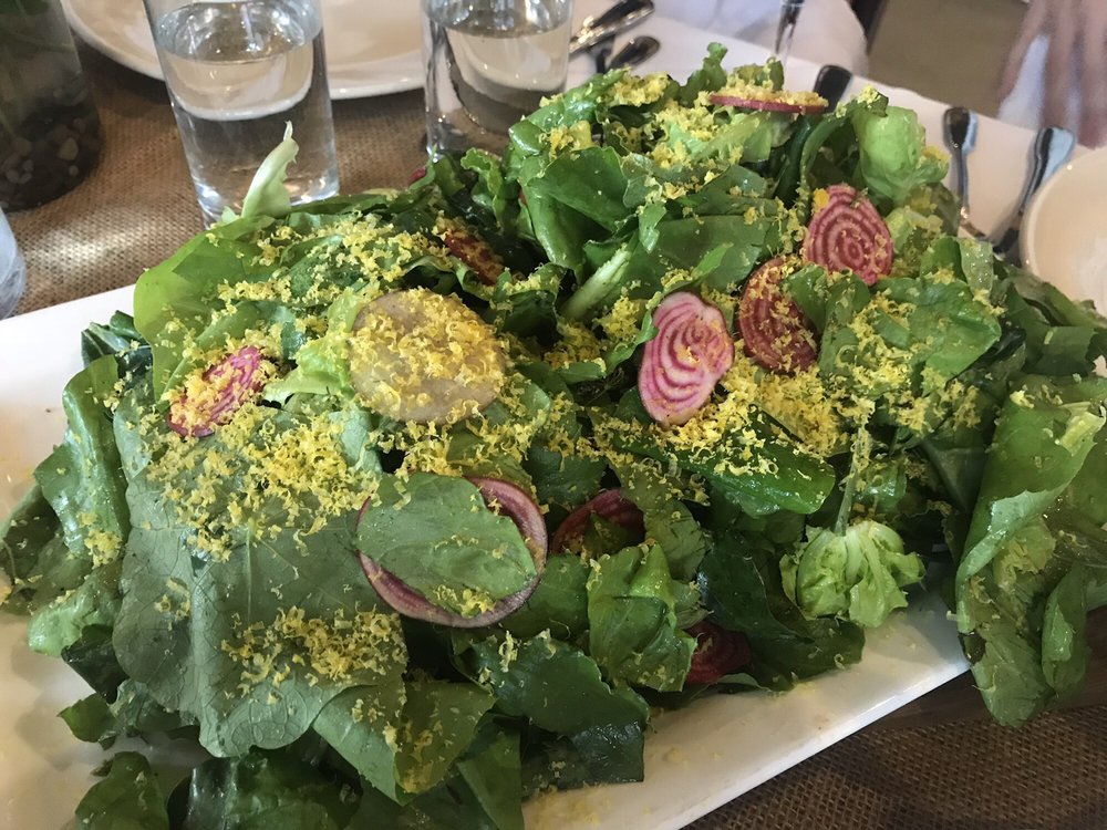 Carriage House Farm - beekeeping in North Bend, OH