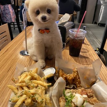 Fire Wings - Service dog friendly! - Chicken Wings Near Me - Brea, California Fire Wings - Service dog friendly! - Chicken Wings Near Me - Brea, California