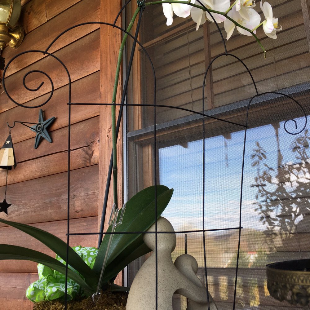 Ray's Florist & Greenhouse - Large orchid sent to the service - Florists Near Me - Sylva, North Carolina Ray's Florist & Greenhouse - Large orchid sent to the service - Florists Near Me - Sylva, North Carolina