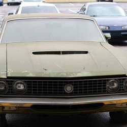 MELz fine automotive detail - 30 years of dust