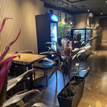 Ostro Cafe - Coffee & Tea Near Me - Long Island City, New York