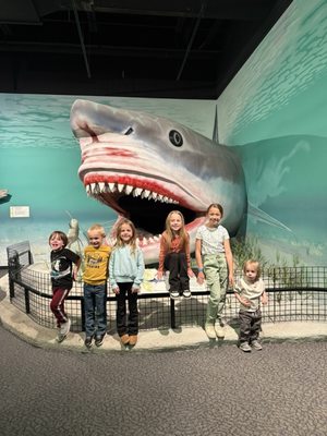 Mountain America Museum of Ancient Life at Thanksgiving Point by null