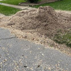 Economy Tree Service - The debris they left.