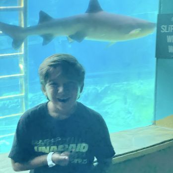 Aquatic Safety Instruction - Sitting in front of the aquarium with the sharks. - Swimming Lessons/Schools Near Me - Northridge, California