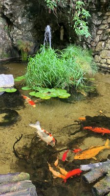 Cascate del Varone by null