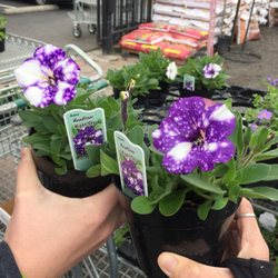 Four Seasons Nursery