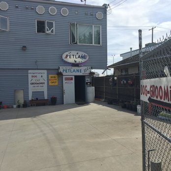 Petlane Grooming - Outside store front in the back alley - Pet Groomers Near Me - Edmonton, Alberta Petlane Grooming - Outside store front in the back alley - Pet Groomers Near Me - Edmonton, Alberta