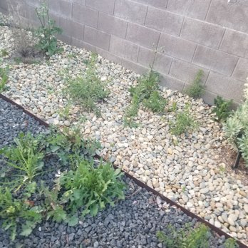 Tree and Landscape Pros - Weed overgrown - Landscaping Near Me Tree and Landscape Pros - Weed overgrown - Landscaping Near Me
