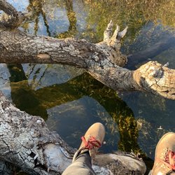 Cibbets Flat Campground - Leaves fallen into creek