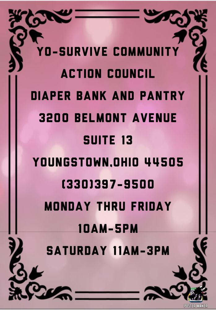 YO-SURVIVE COMMUNITY ACTION COUNCIL - social services organization in Youngstown, OH