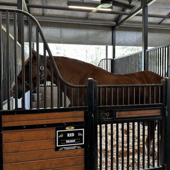 Tri-Circle-D Ranch - Horseback Riding Near Me - Orlando, Florida