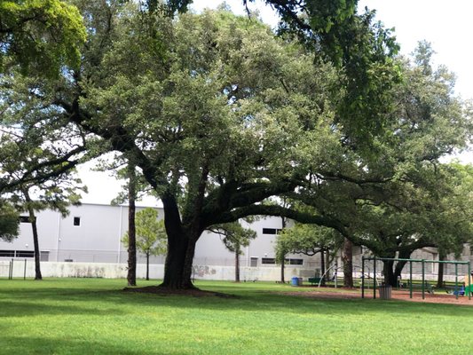 FLAMINGO PARK - Updated May 2024 - 10 Photos - 1600 SW 21st Way, Fort