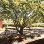 Photo of Rossmoor Dental