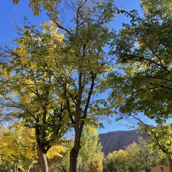 Sun Outdoors Moab Downtown - Tall shade trees - Campgrounds Near Me - Moab, Utah