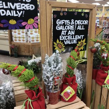 Trader Joe's - Grump trees - The image shows Christmas-themed plants, including small snow-frosted trees and greenery wrapped in red fabric bags, arranged on a wooden display. Two signs are visible: one advertising fresh blooms delivered daily, and another promoting a wide selection of gifts and decor at an excellent value. The store interior features ceiling lights, shelves, and other holiday decorations, indicating a retail environment focused on seasonal items. - Grocery Near Me - Danbury, Connecticut