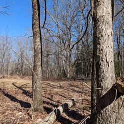 Litchfield Land Trust Hiking Trails