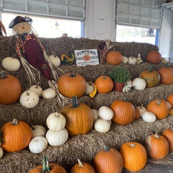 Eno River Farm - Fall decor - Pick Your Own Farms Near Me - Hillsborough, North Carolina Eno River Farm - Fall decor - Pick Your Own Farms Near Me - Hillsborough, North Carolina